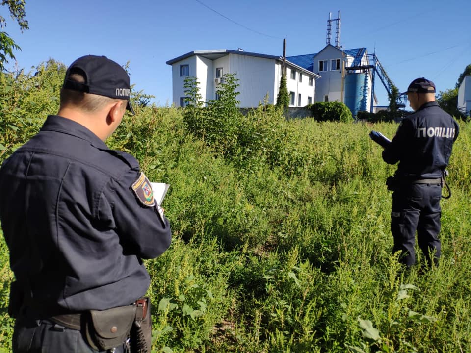 В Белой Церкви земельный мошенник обманул мужчину на полмиллиона гривен