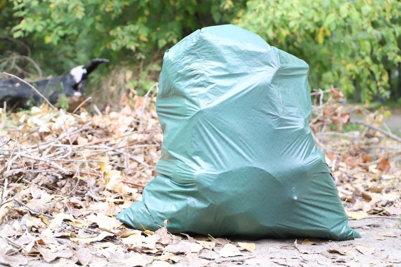 Киевляне во время акции “World Cleanup Day” собрали с улиц города около 500 кубометров мусора (фото)