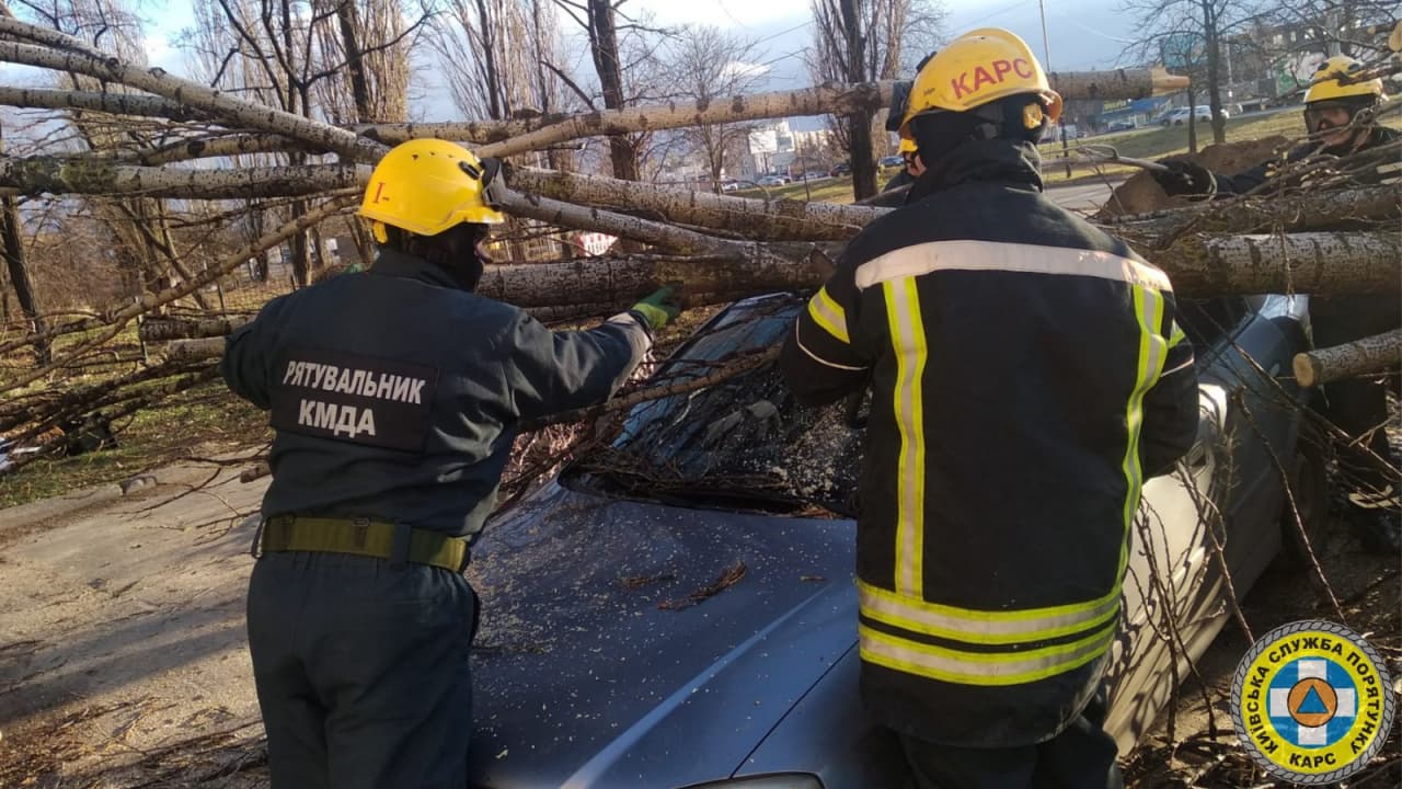 Сильный ветер ломал деревья в Киеве и обесточил десятки населенных пунктов на Киевщине (фото)