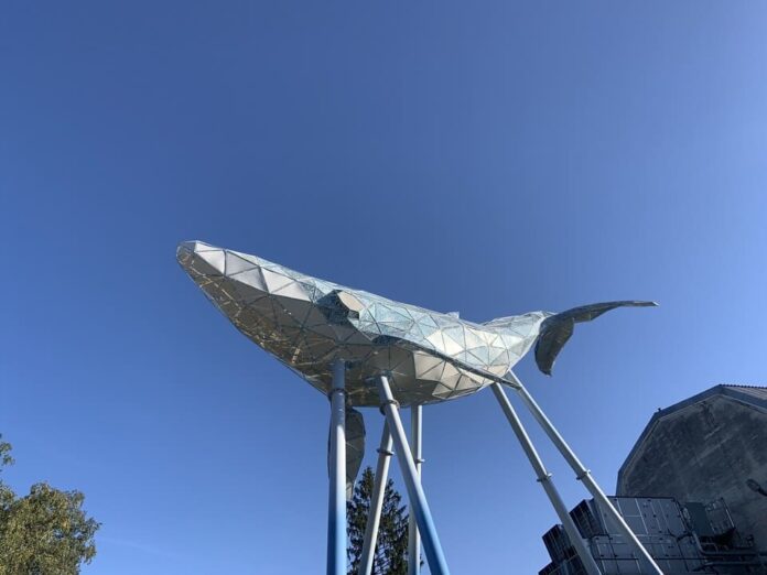 “Киевского кита” из переработанного пластика внесли в Книгу рекордов Украины