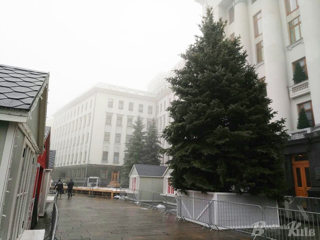 Возле Офиса президента в Киеве установили новогоднюю елку