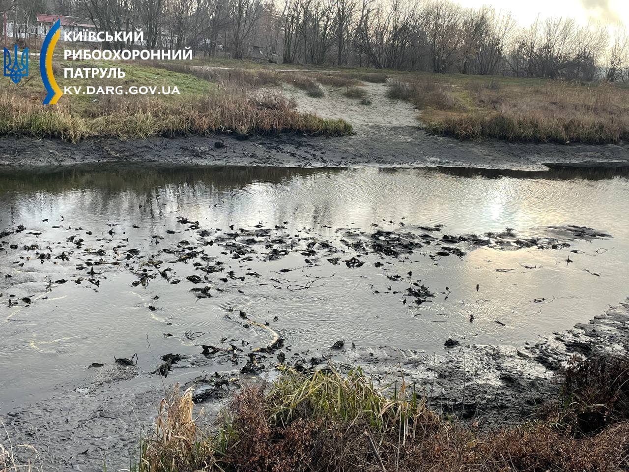 В реке Трубеж на Киевщине зафиксировали резкий спад уровня воды (фото)
