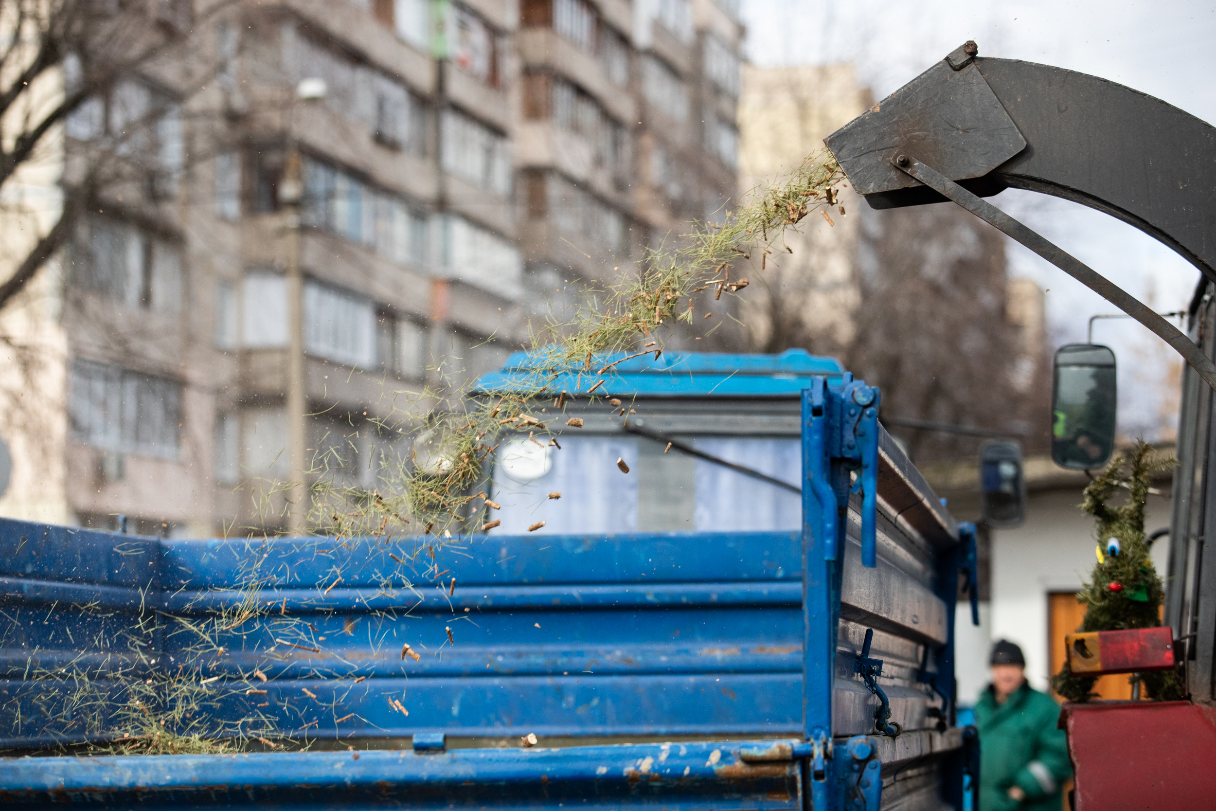 В этом году в Киеве на утилизацию сдали на треть больше елок, чем годом ранее (фото)