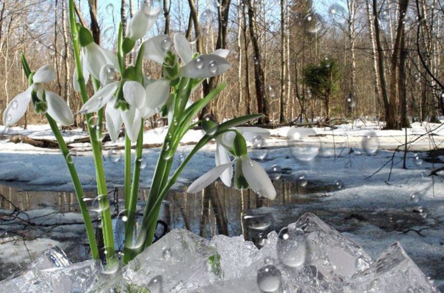 Метеорологическая весна в Киеве началась существенно раньше срока
