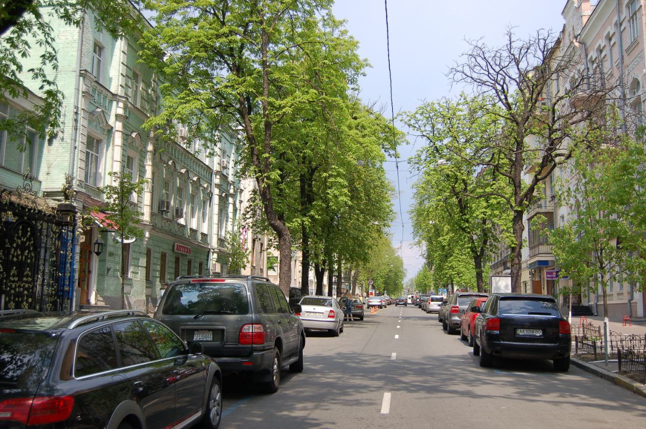 Кияни пропонують перейменувати вулицю Льва Толстого на вулицю Полку “Азов”