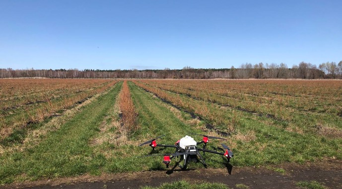 На Київщині аграріі за допомогою дронів обробили фунгіцидами поля, які можуть бути заміновані
