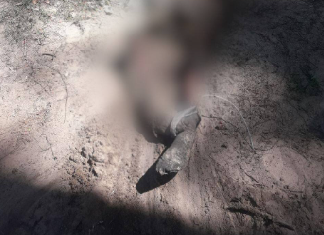 На Київщині у лісосмузі виявили тіло закатованого мирного мешканця