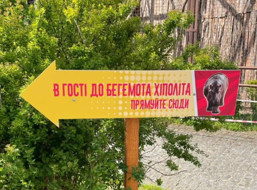 З 14 травня на Київщині відновлює роботу зоопарк “XII Місяців”