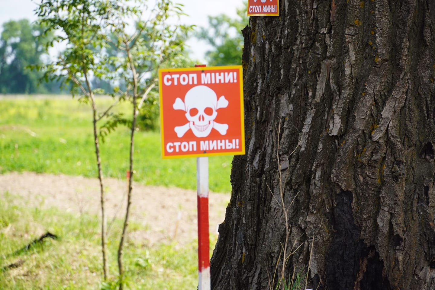 За добу на Київщині знешкоджено 300 вибухонебезпечних предметів