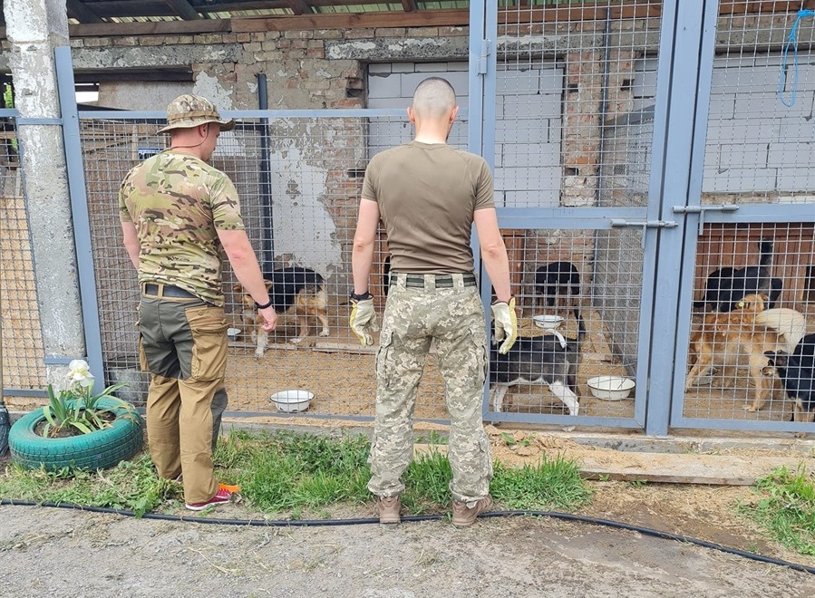 Притулок для собак у Переяславі на Київщині добудують за допомогою благодійного фонду