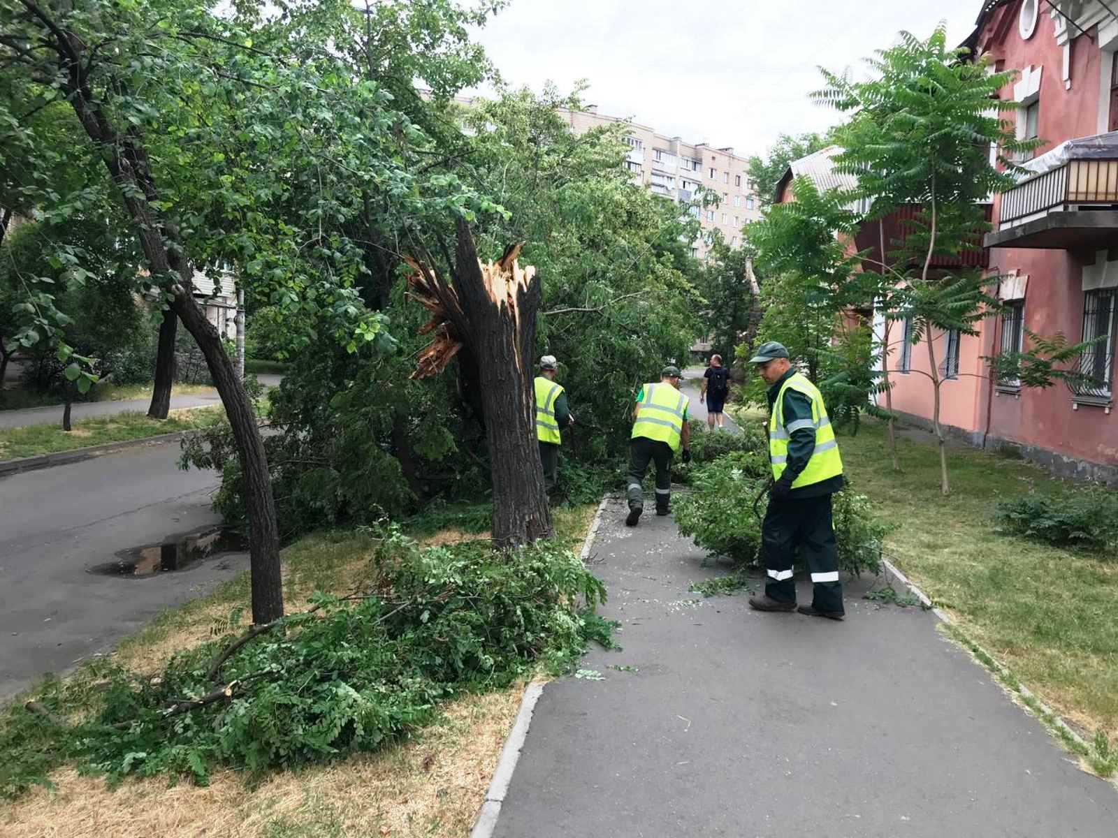 Вчорашня негода у Києві пошкодила близька сотні дерев (фото)