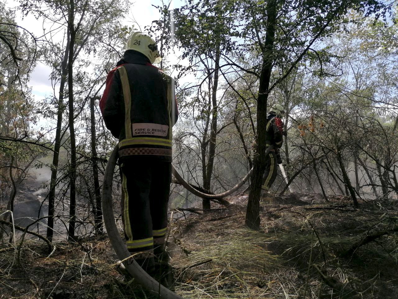 На столичних Осокорках сталося масштабне загорання трави