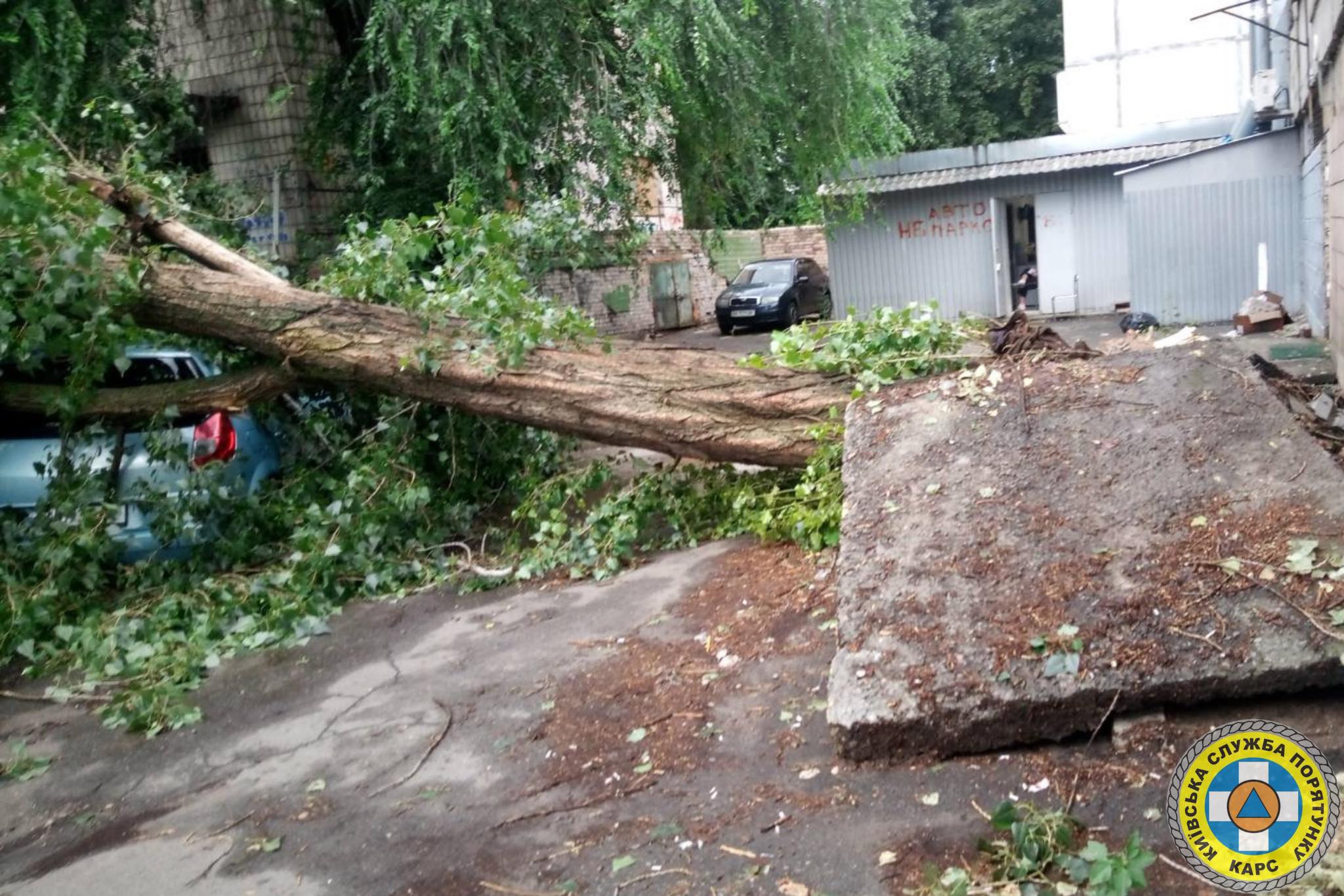 Вчорашня негода у Києві пошкодила понад 200 дерев, затопила вулиці та змінила рух тролейбусних маршрутів