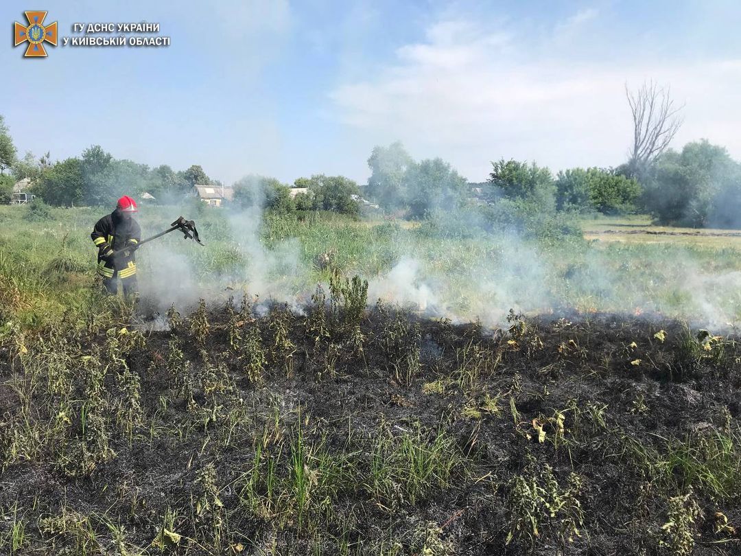 У Плесецькому на Київщині вогнеборці ліквідували пожежу біля озера