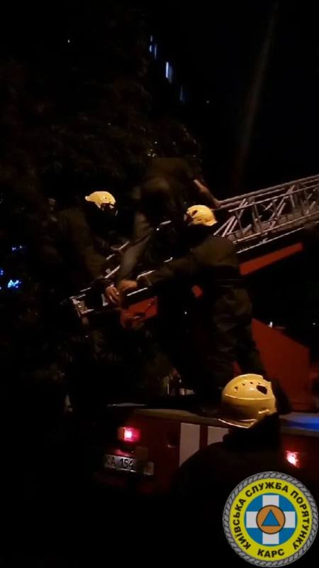 Працівники “Київської служби порятунку” зняли з дерева на Оболоні наркомана (фото)