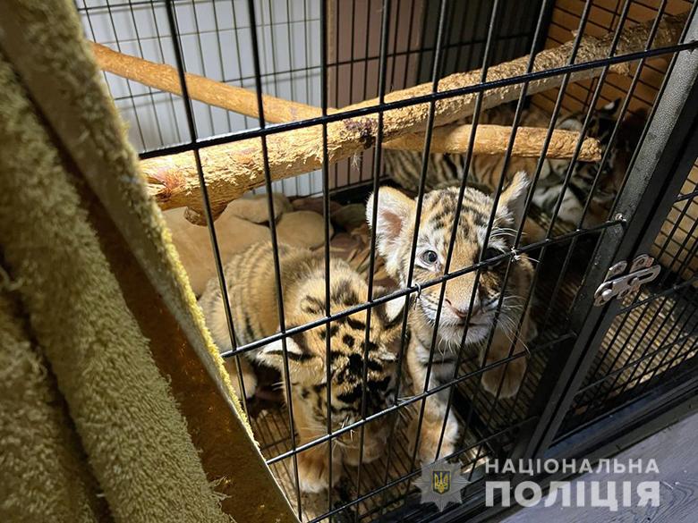 У Києві викрили організаторів незаконної торгівлі екзотичними і дикими тваринами (фото, відео)
