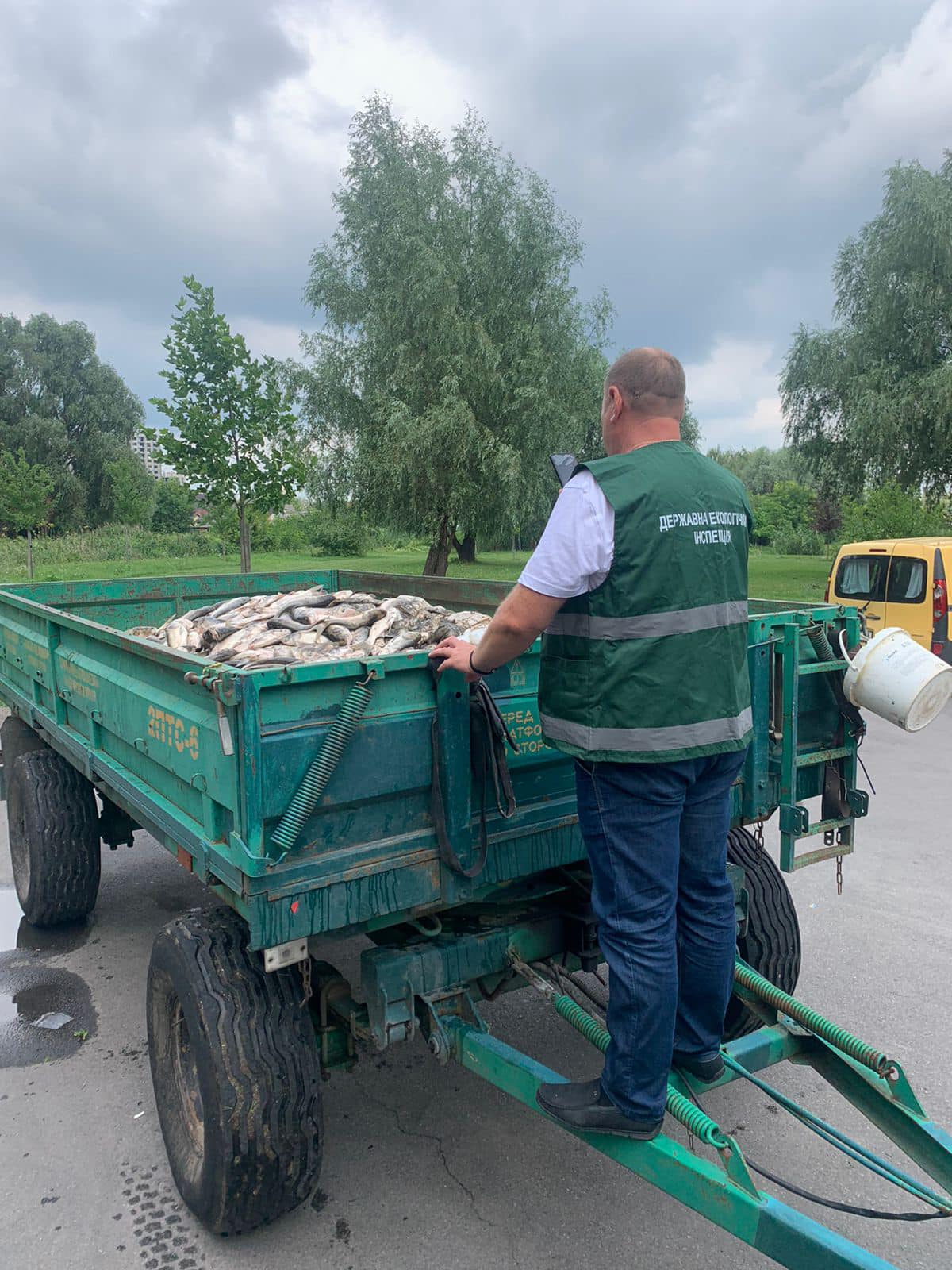 У Борисполі на Олесницькому озері загинуло риби майже на 3 млн гривень, - Держекоінспекція