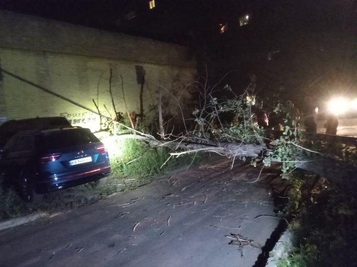 На Оболоні в Києві при падінні дерево травмувало дитину