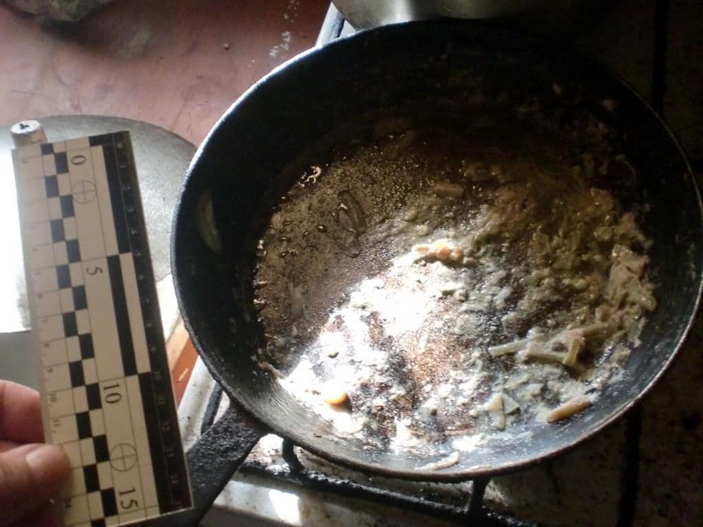 Ще одна дитина на Київщині померла від отруєння грибами