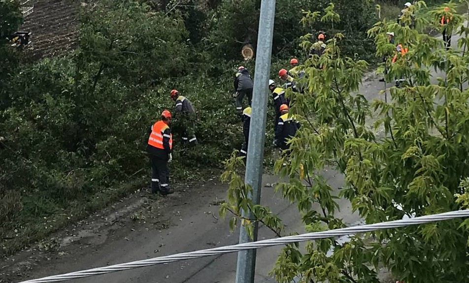 На Київщині після негоди повністю без світла залишаються 15 населених пунктів