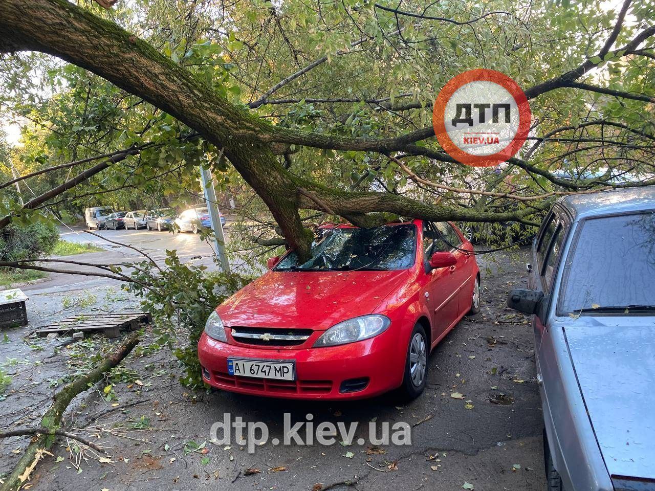 Недільна негода у столиці: повалені дерева, пошкоджені авто