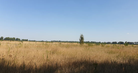 Під Борисполем виставили на продаж більше 10 га земельних ділянок під забудову