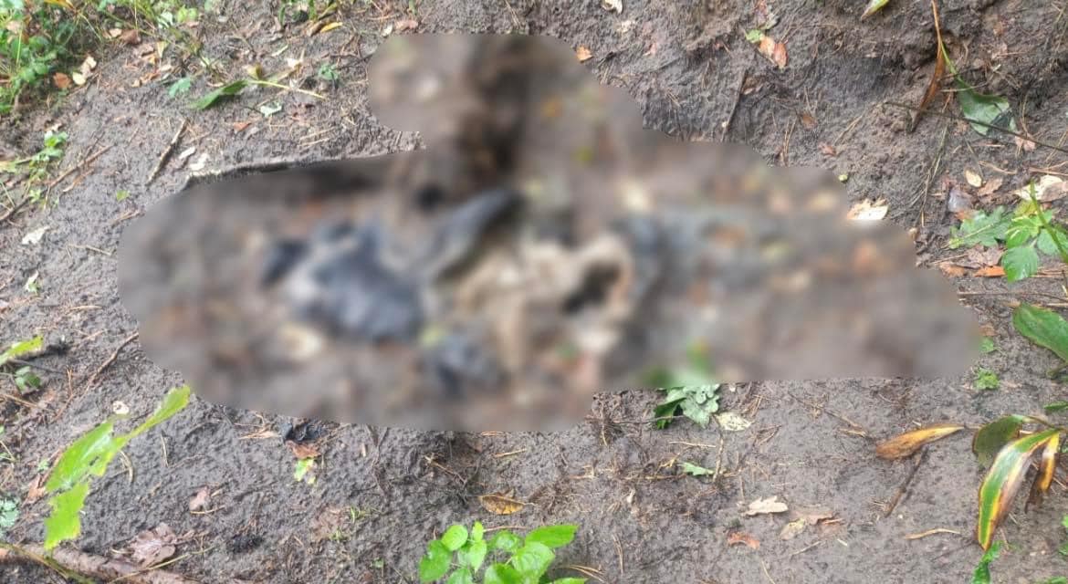 Біля Ворзелю на Київщині знайшли останки ще двох жертв російських окупантів