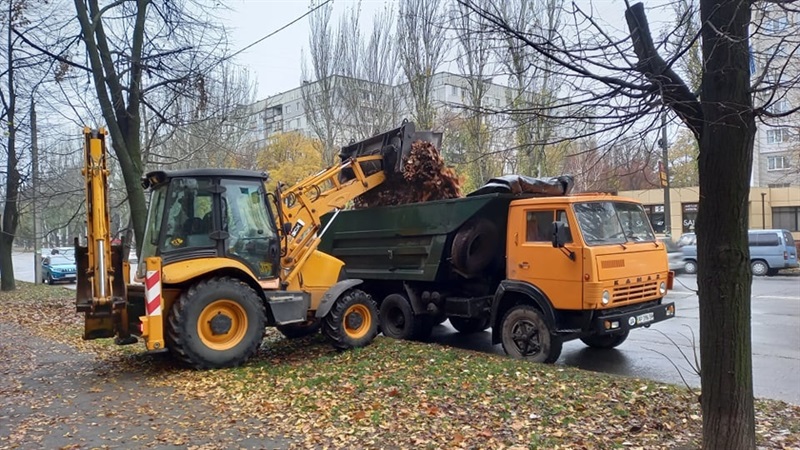 На вивезення опалого листя управління освіти Печерського району хоче витратити 400 тисяч гривень