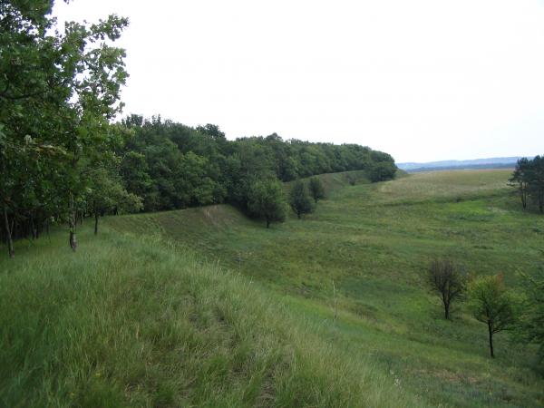 На Київщині суд повернув державі 14 гектарів землі, на яких розташовані укріплення “Змієві вали”