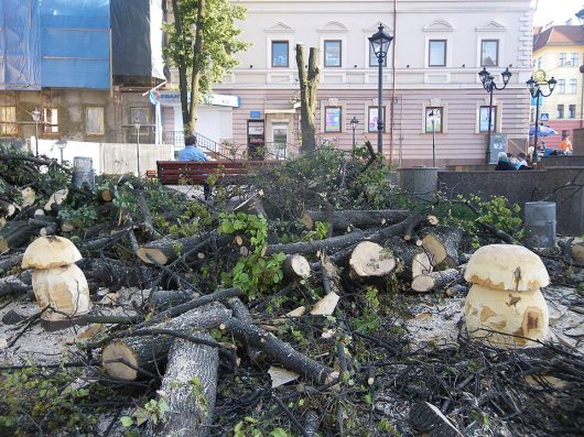 В Гребінках витратять на боротьбу із сухостоєм і кронування дерев більше 700 тис. гривень