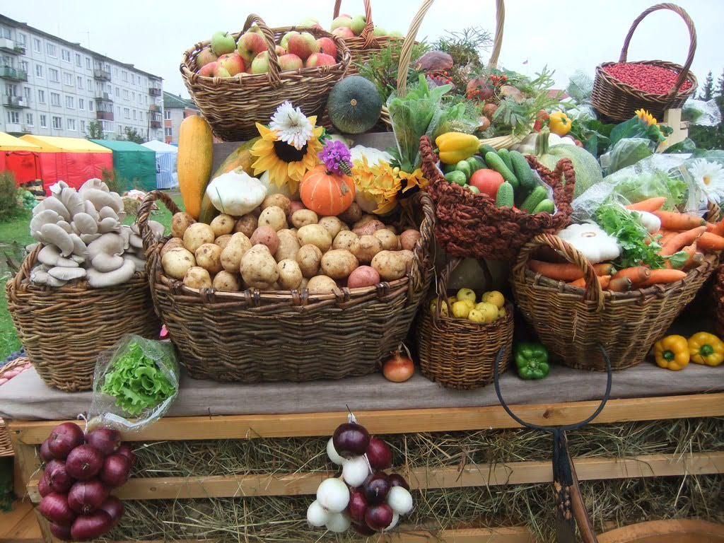 У столиці 14 жовтня вісім ярмарків продовжать осінній торговельний сезон (адреси)