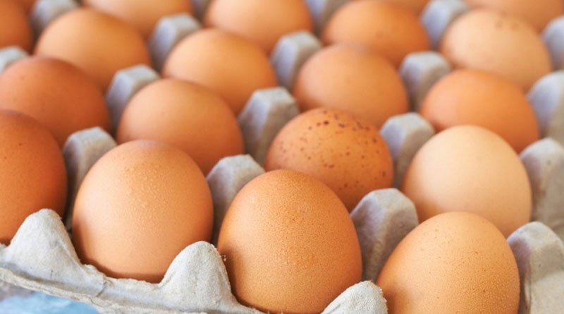 Миронівка закупить курячі яйця по 6,8 гривень за штуку