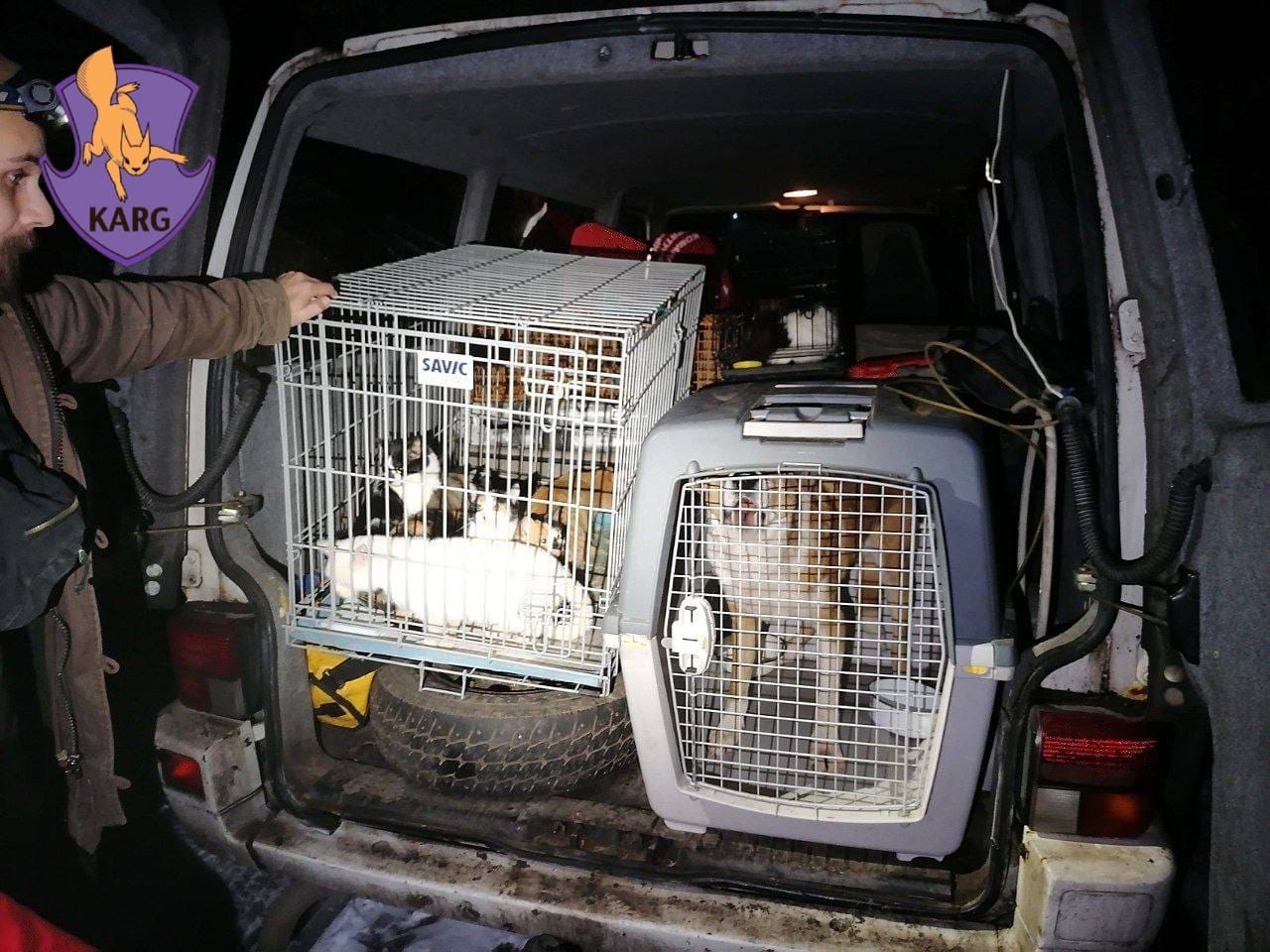 Столичні волонтери вивозять з Бахмута безхатніх та вуличних тварин (фото)