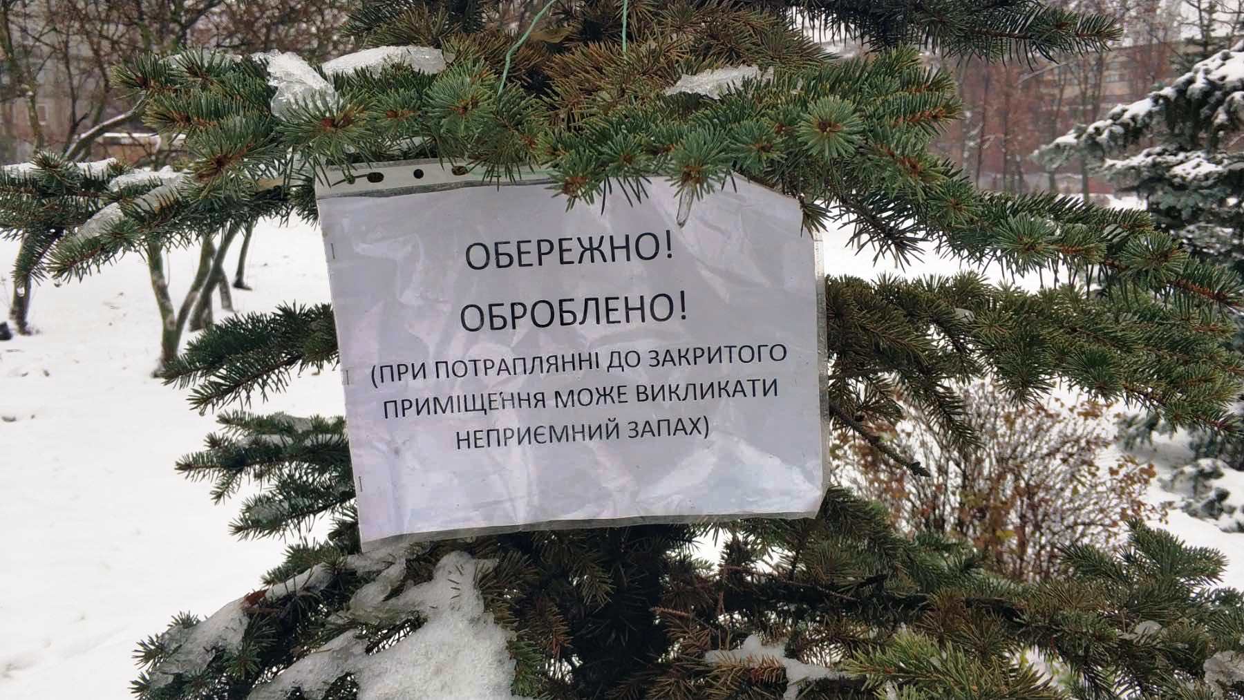 У Києві хвойні дерева обробляють репелентами, щоб убезпечити їх від незаконної вирубки