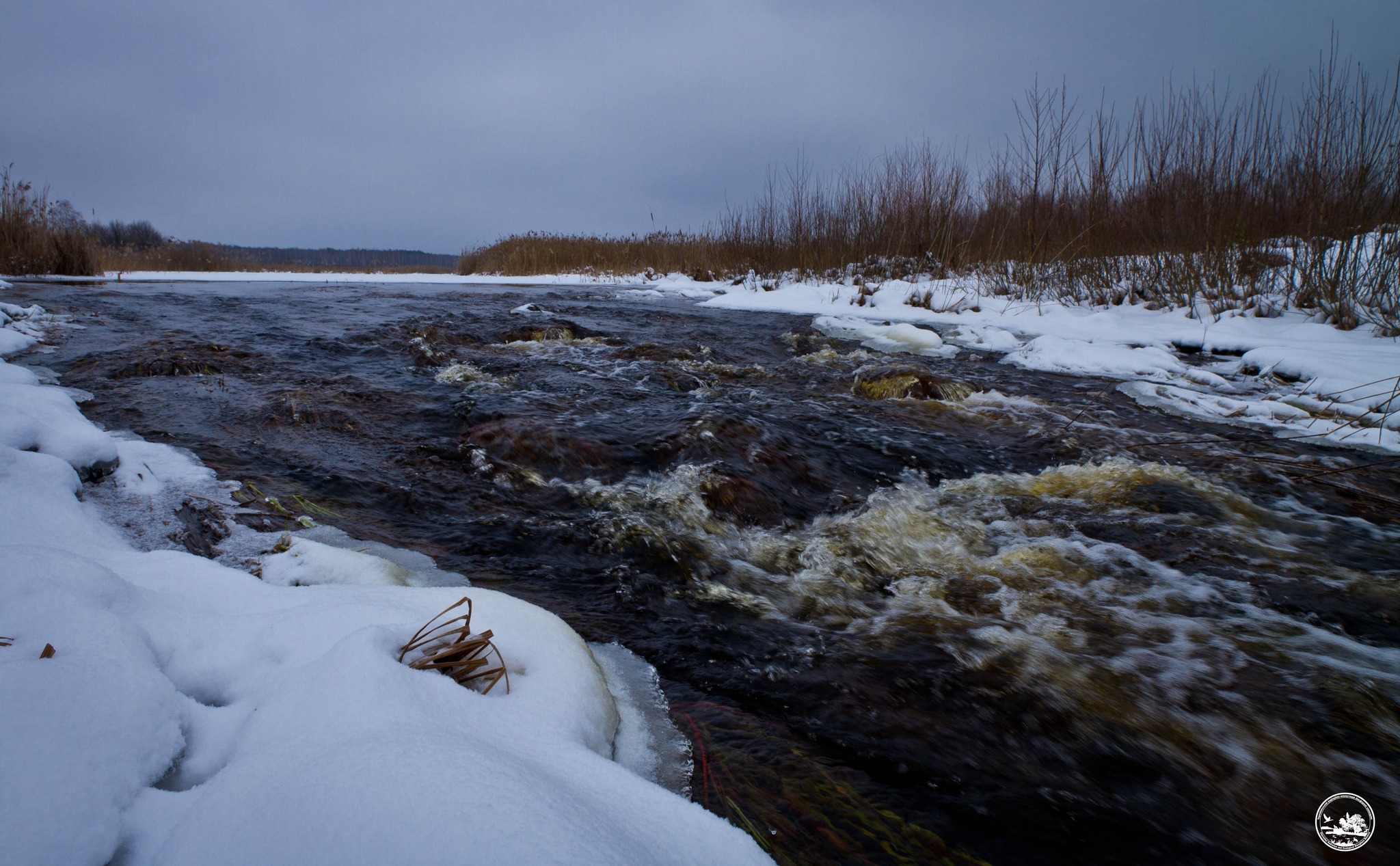 В Чорнобильській зоні стрімко піднявся рівень води в річці Уж