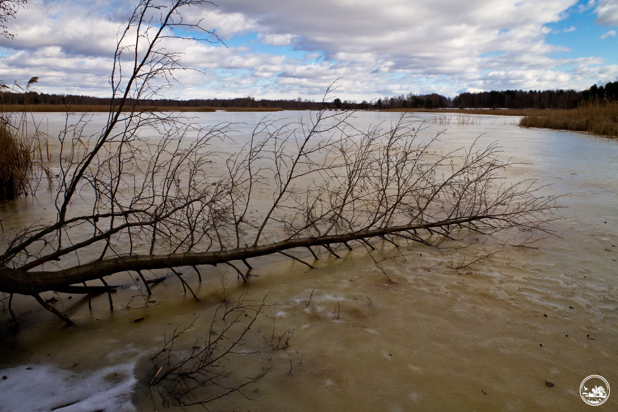 В Чорнобильській зоні стрімко піднявся рівень води в річці Уж