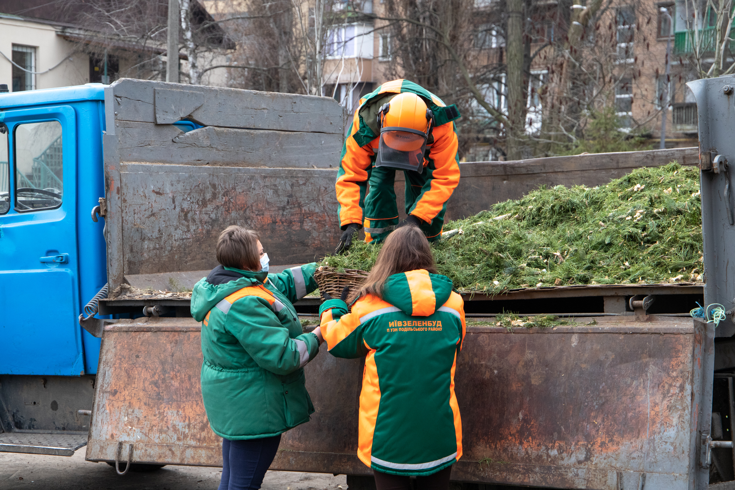 За два тижні кияни принесли в пункти утилізації майже тисячу новорічних дерев