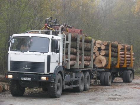 На заготівлю лісу в зоні відчуження ЧАЕС витратять майже 30 млн гривень