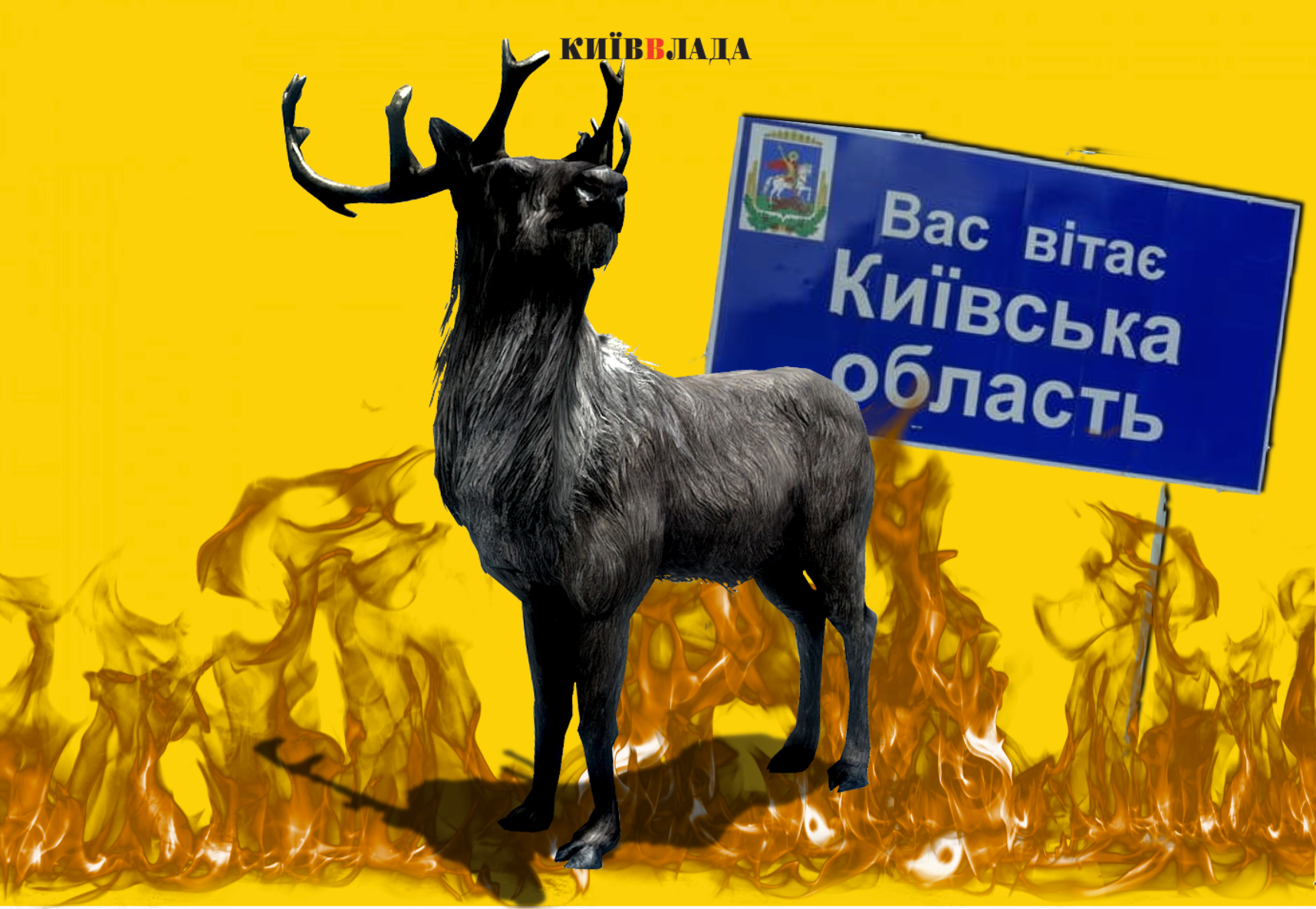 Здичавіння: на Київщині збільшилось поголів’я диких тварин і птахів