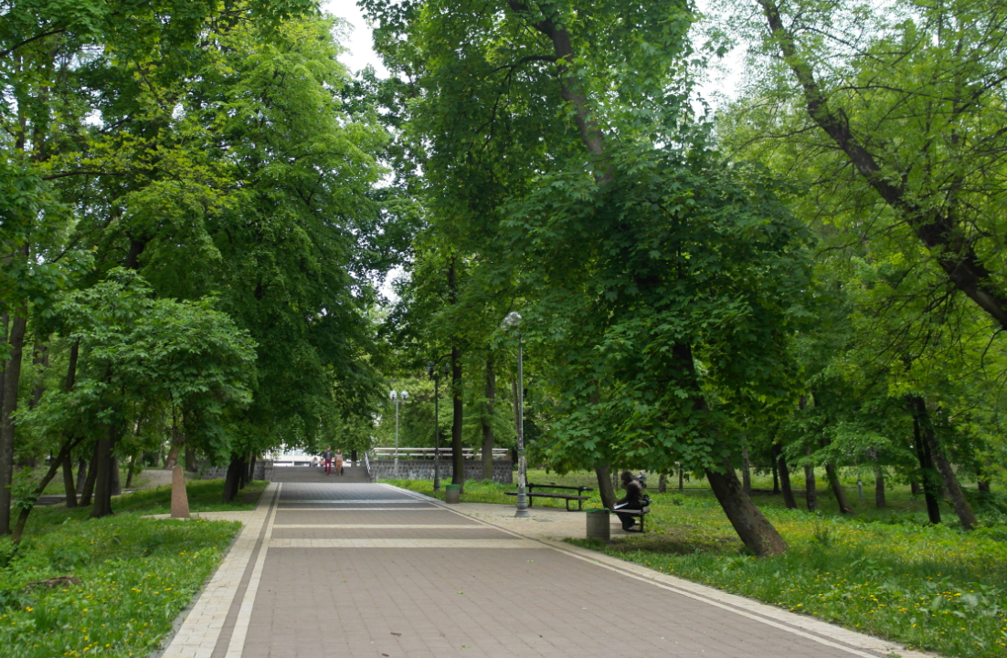 Університет КПІ витратить 1,33 млн гривень на озеленення