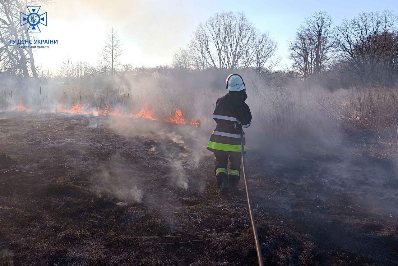 Впродовж вихідних в Києві та області сталося 10 пожеж в екосистемах, – ДСНС