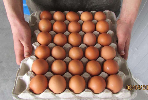 Національний інститут раку шукає постачальника яєць по 5,5 гривень за штуку