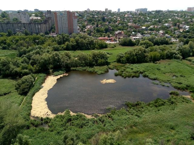 Територію парку відпочинку біля Cовських ставків планують передати “Київзеленбуду”