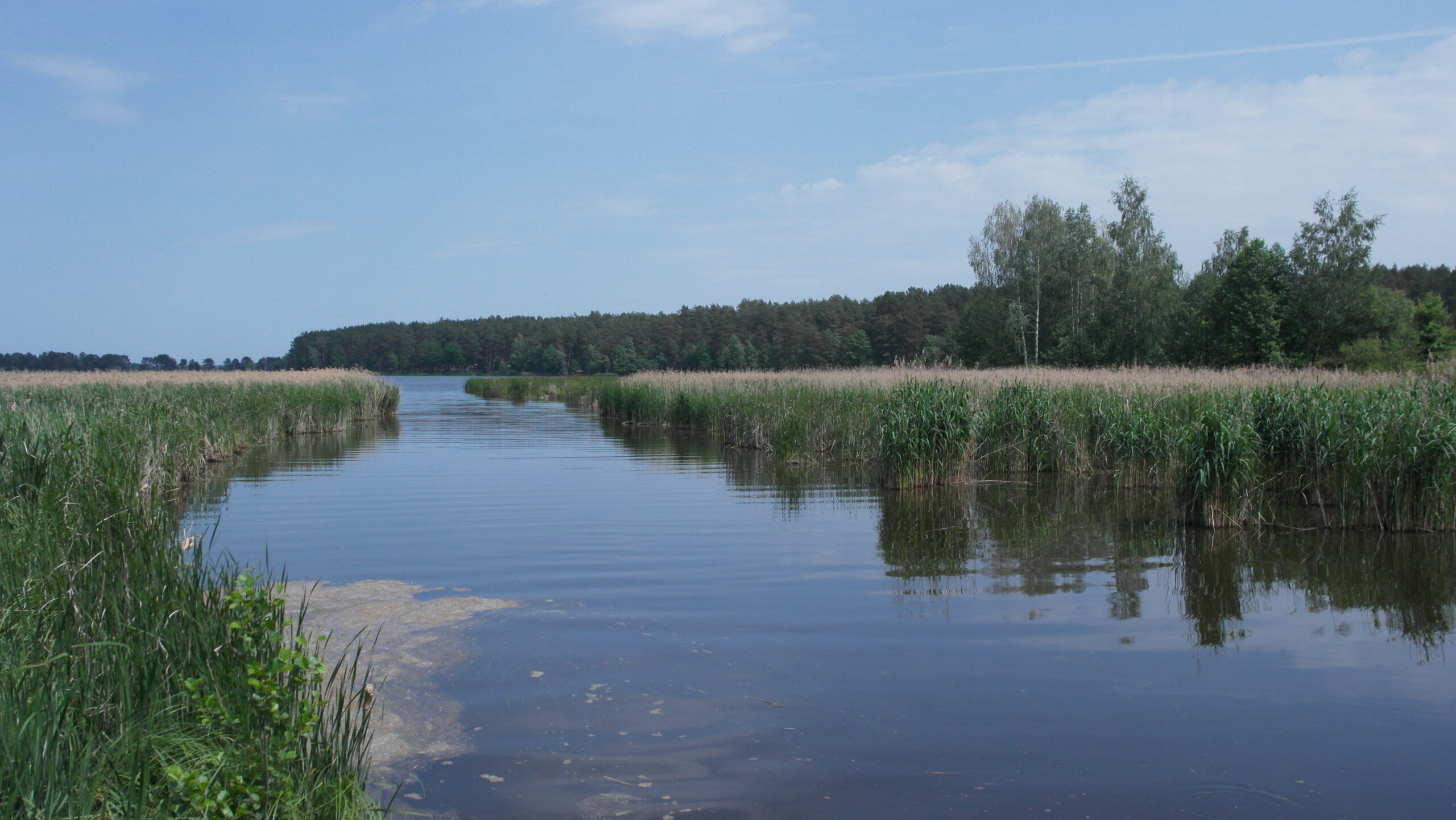 Мер Ірпеня звинуватив бучанських чиновників у складній екологичній ситуації на річці Бучанка