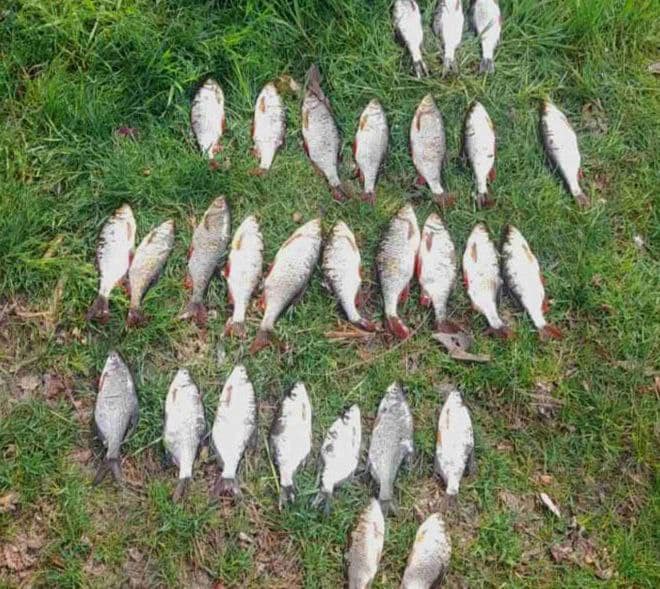 На Канівському водосховищі два браконьєри сітками наловили риби на 45 тисяч гривень