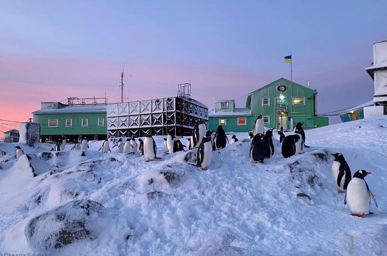 Інтернет-зв’язок на антарктичній станції “Академік Вернадський” обійдеться в 1,7 млн гривень