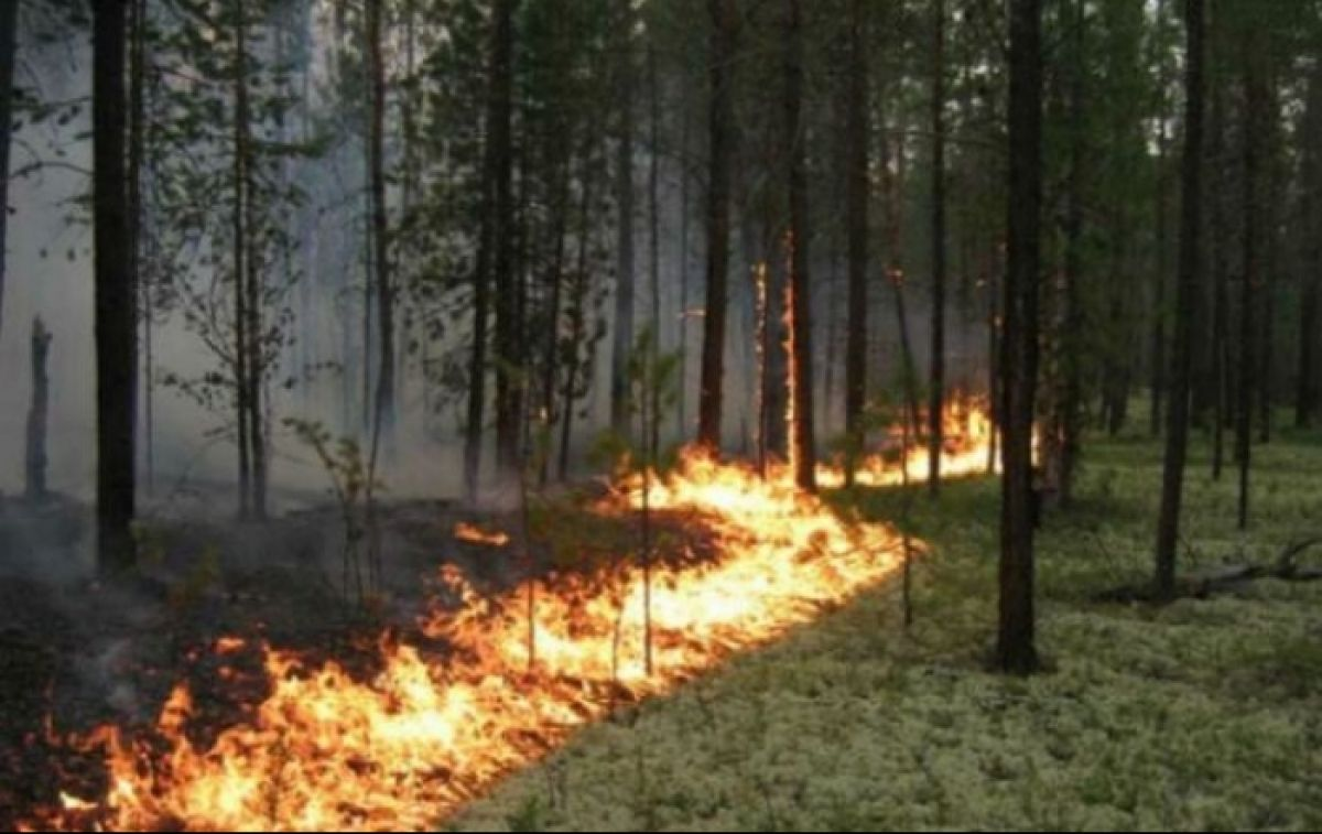 На Київщині - пожежна небезпека