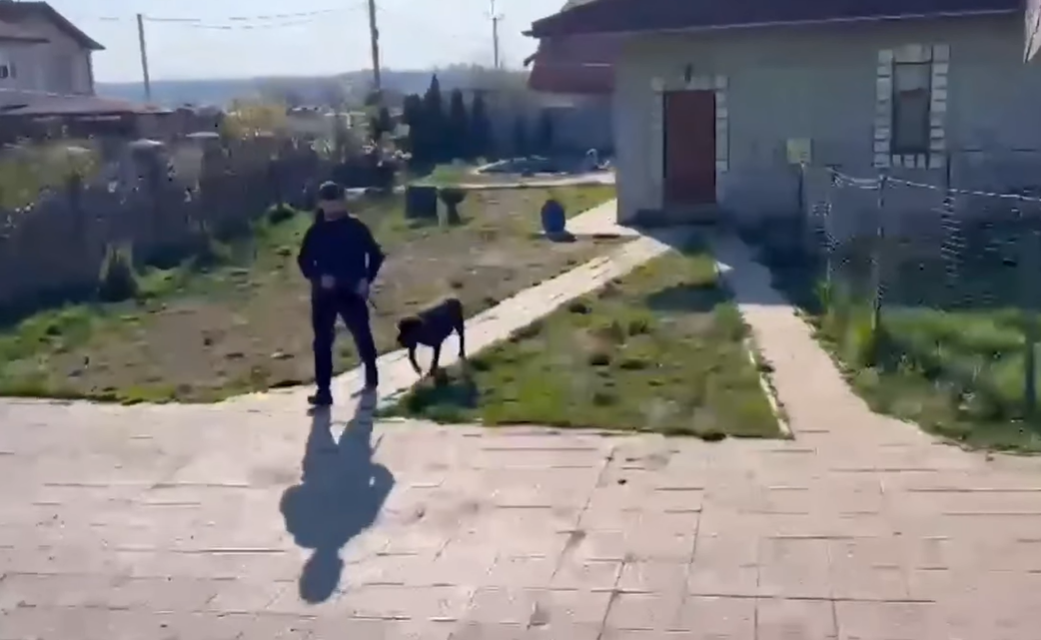 В Ірпінській громаді з розплідника вилучили сім собак, які покусали жінку з дитиною (відео)