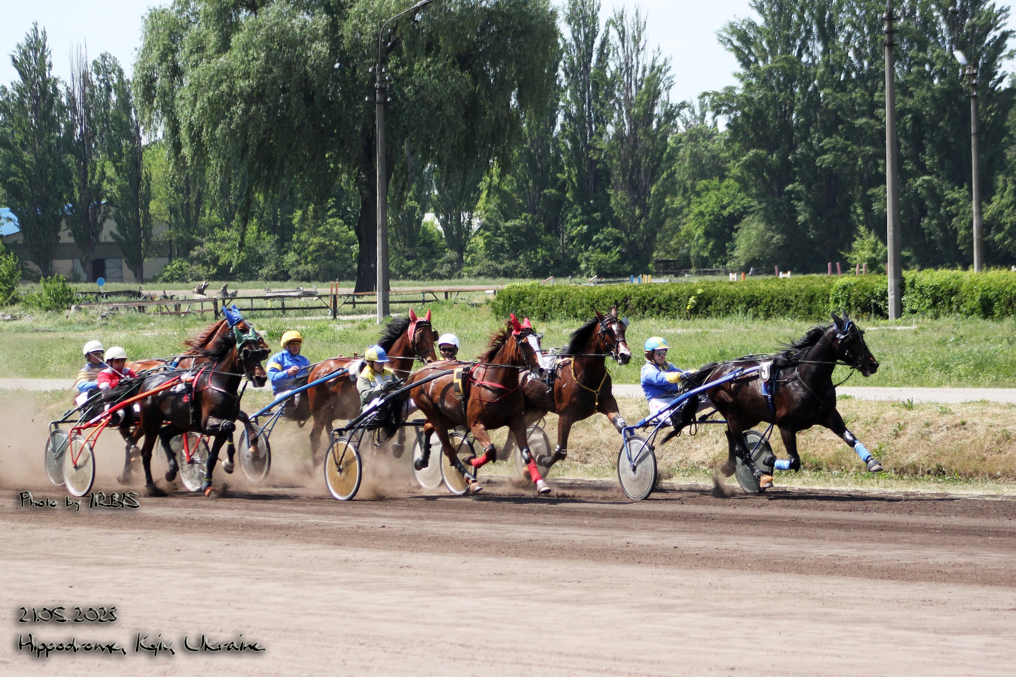 У неділю, 18 червня, на Київському іподромі проводяться змагання рисистих порід коней