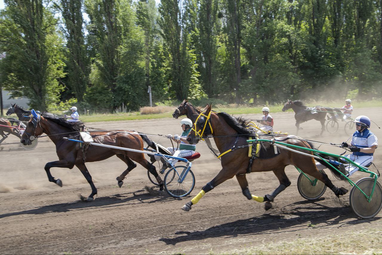 У неділю на Київському іподромі пройдуть змагання коней рисистих порід
